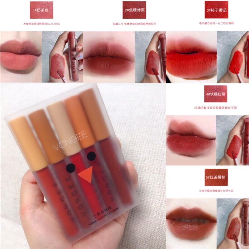 Sét 5 son Vongee GẤU hộp dẹt xinh xắn