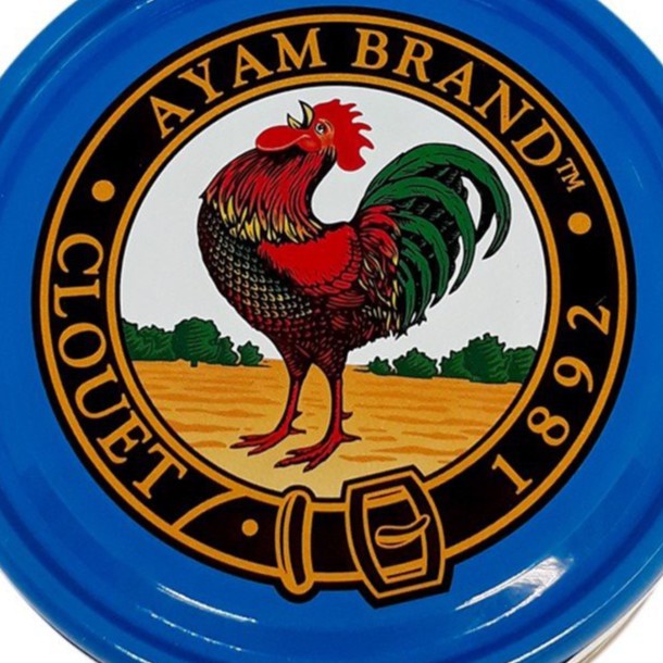 Cá ngừ ngâm nước ít béo AYAM BRAND