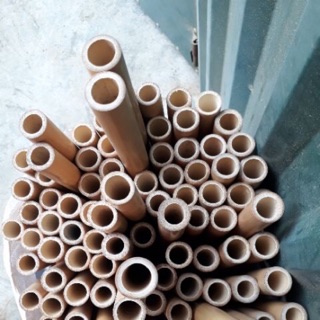 Ống nứa sáo