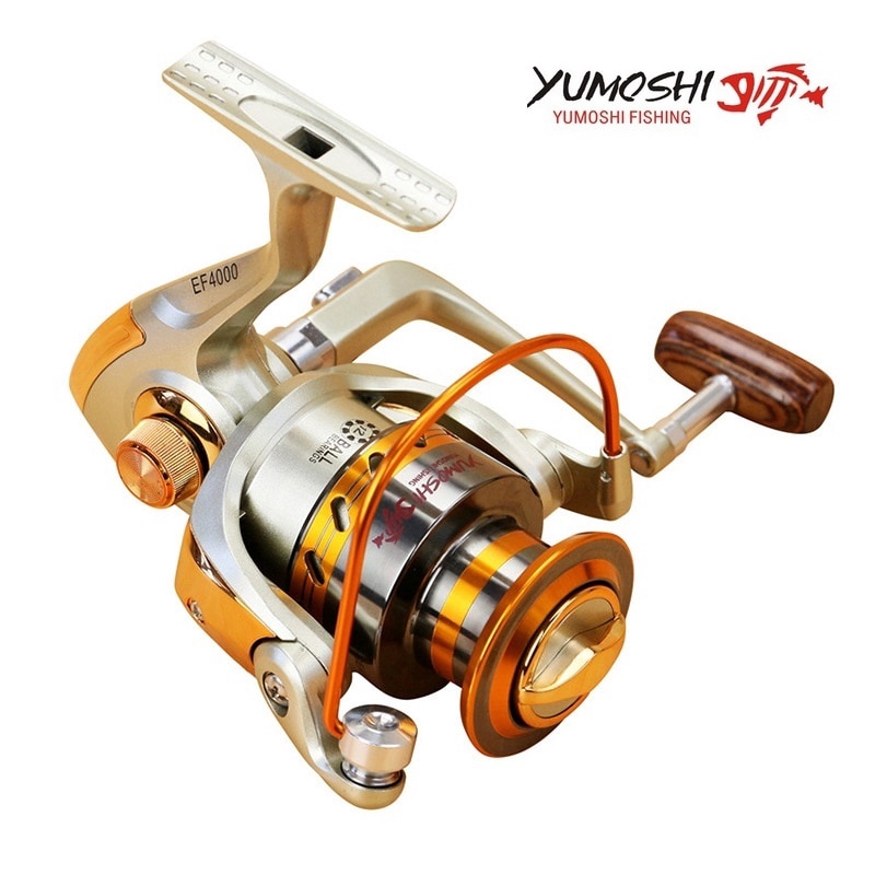 Máy Câu Cá Stly EF1000-7000 Chuyên Nghiệp