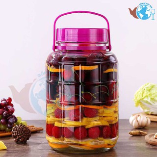 [CHỈ SHIP HOẢ TỐC HÀ NỘI] Bình Ngâm Rượu (hũ thủy tinh ngâm rượu) Thủy Tinh Quai Xách