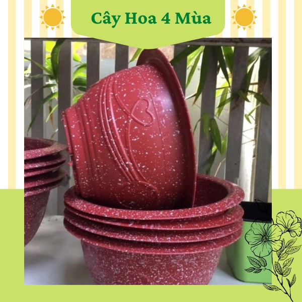 Chậu nhựa tròn phúc lộc thọ trồng cây hoa vân đá các màu đủ size loại đục lỗ