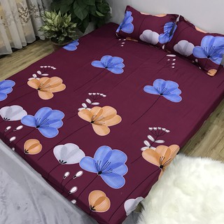 Bộ ga gối poly 3 món 1m6x2m hoa palang