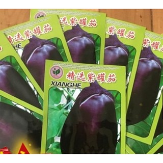 Hạt giống Cà tím khổng lồ