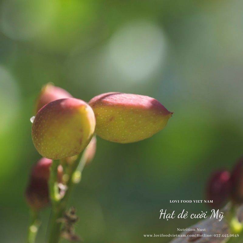 HẠT DẺ CƯỜI MỸ - 500gram HẠT CAO CẤP nhập khẩu trực tiếp từ California - Lovi Food Việt Nam | BigBuy360 - bigbuy360.vn