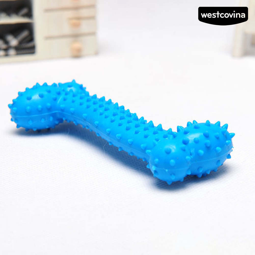 Đồ Chơi Gặm Hình Khúc Xương Bằng Tpr Cho Thú Cưng