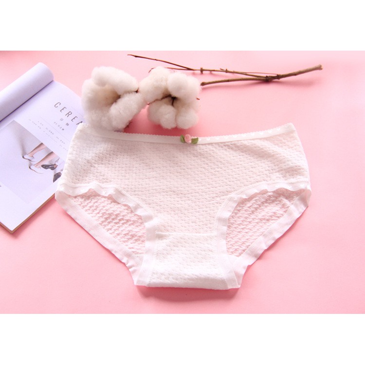 quần lót cotton trắng