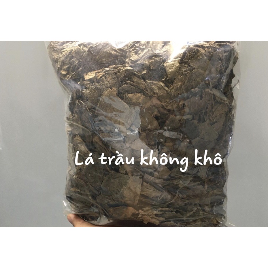 ✅[CHÍNH HÃNG]100 gram lá trầu không (khô thơm sạch)
