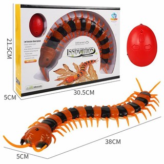 Đồ chơi con rết điều khiển từ xa No.9901