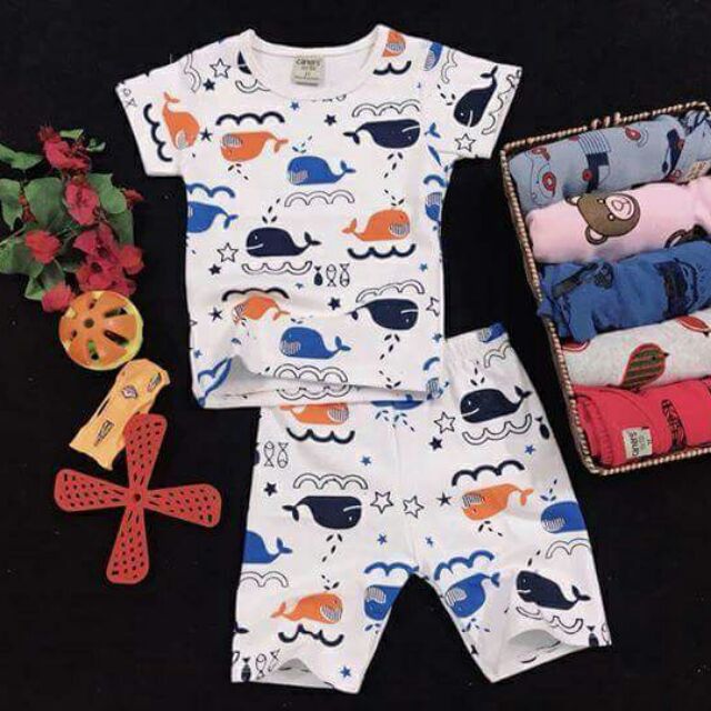 Combo 6 bộ bozip