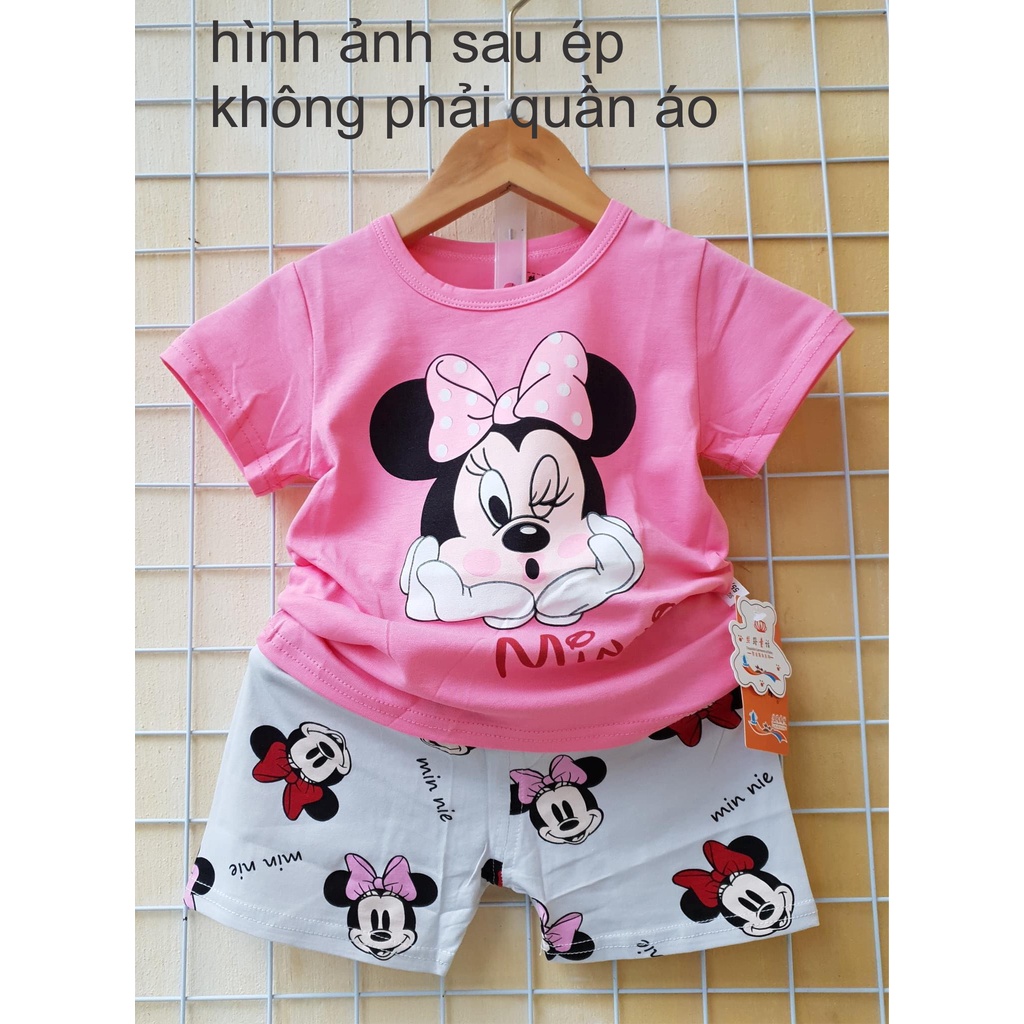 Hình nhiệt decan pet chủ đề mickey hồng bé gái đủ kích thước