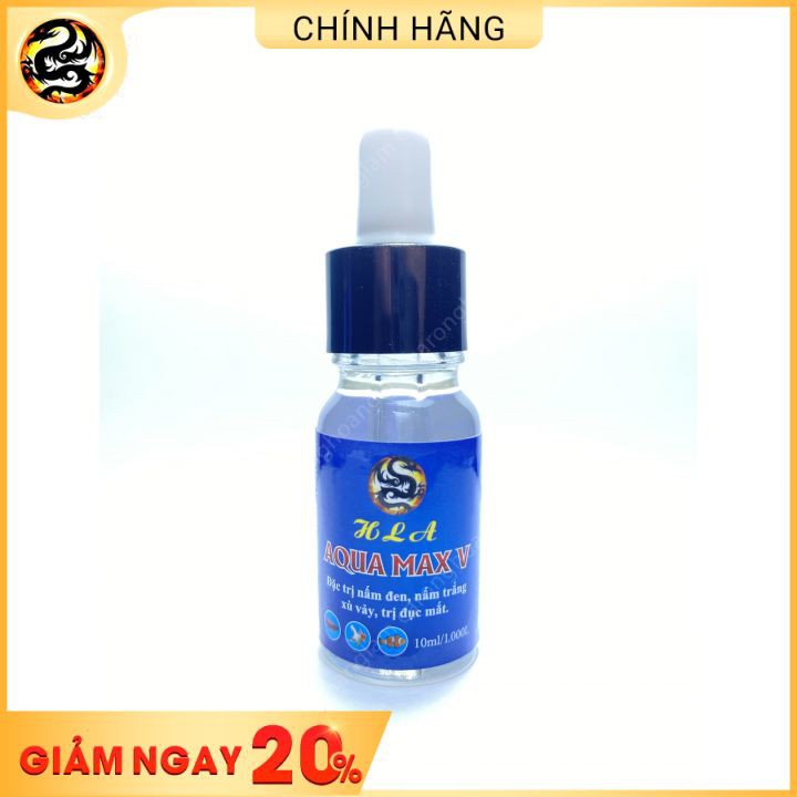 Thuốc Trị Bệnh Cá Cảnh Aqua Max V 10ml Điều Trị Nấm Đen, Nấm Trắng, Xù Vảy, Xuất Huyết Vảy, Đục Mắt | Hoàng Lam Arowan