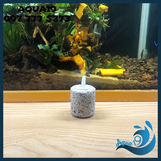 Quả Sủi Oxy Nhiều Size