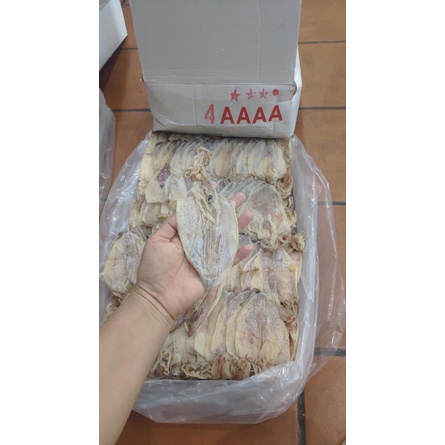 1KG Mực Câu Mini