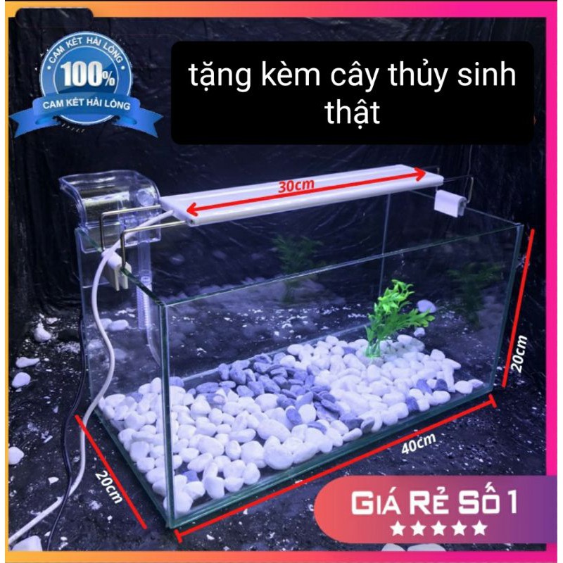 Hồ cá - bể cá mini 40x20x25cm bể thủy sinh, hồ cá để bàn