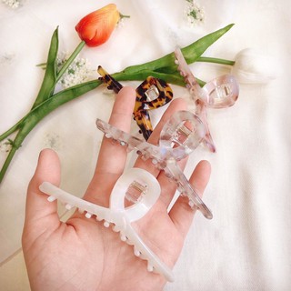 Kẹp nhưa ánh xà cừ