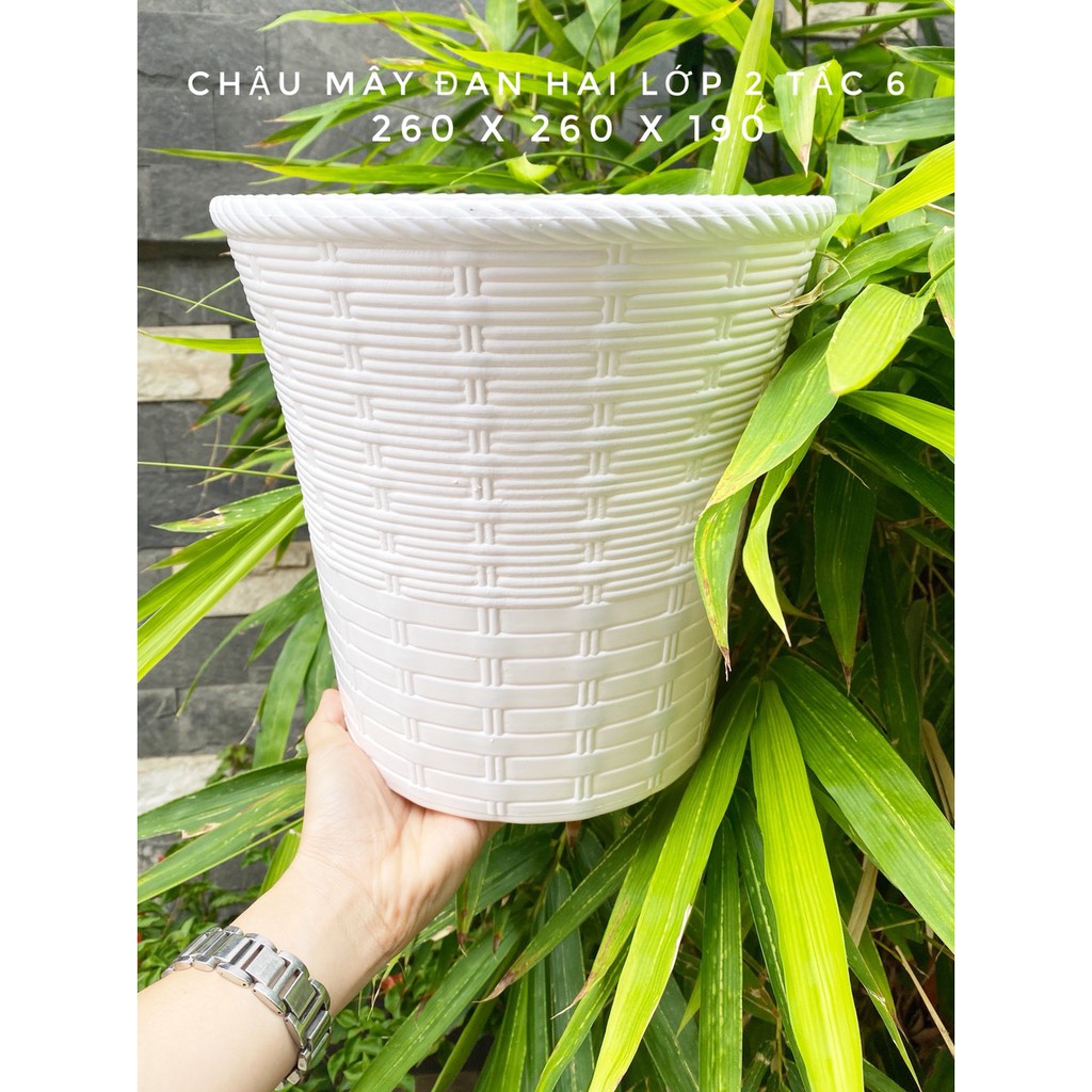 Chậu mây đan 2 lớp