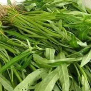 Hạt giống rau muống 30gr