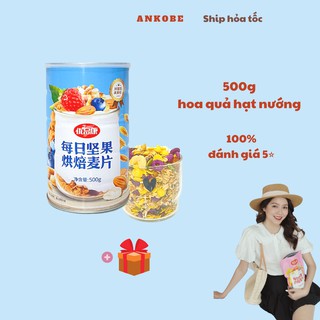 Ngũ cốc hoa quả hạt nướng, hộp 500g, sấy khô ít đường của nhãn Optimcom, Ankobe