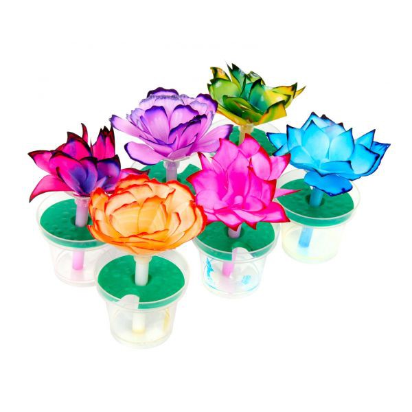 Chính hãng Crayola - Crayola Paper Flower Science Kit - Bộ đồ chơi em yêu khoa học - Chế tạo bông hoa kỳ diệu - 747409