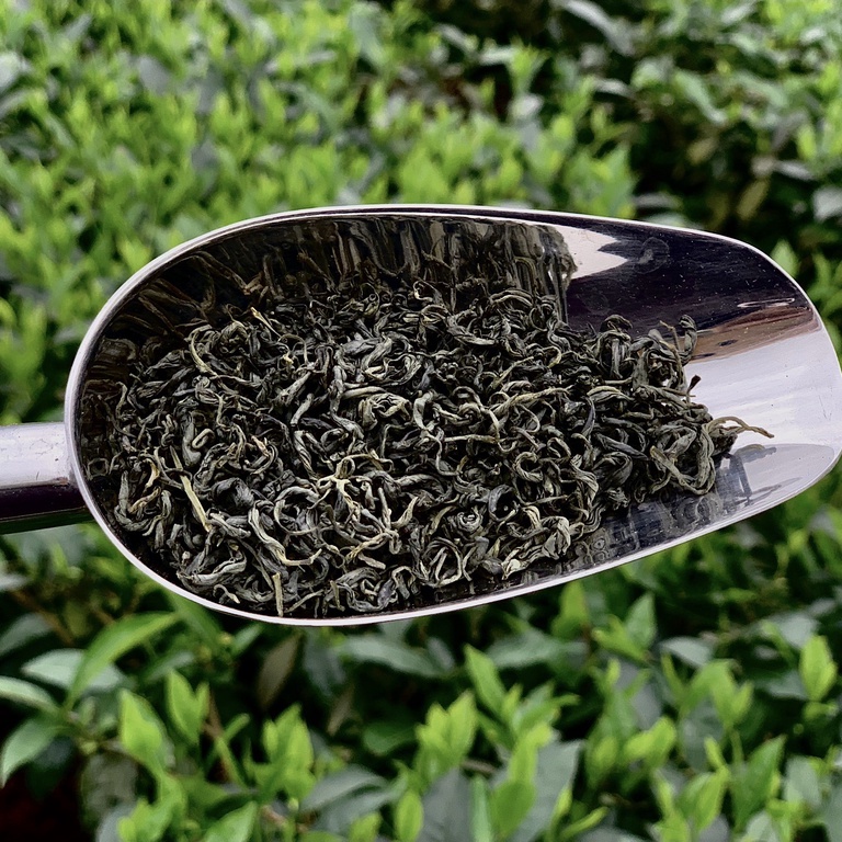 Trà cành tuyết An Thái tiêu chuẩn VietGap thơm ngon đặc biệt - Chè búp Thái Nguyên hút chân không gói 200g - Trà Bắc | BigBuy360 - bigbuy360.vn