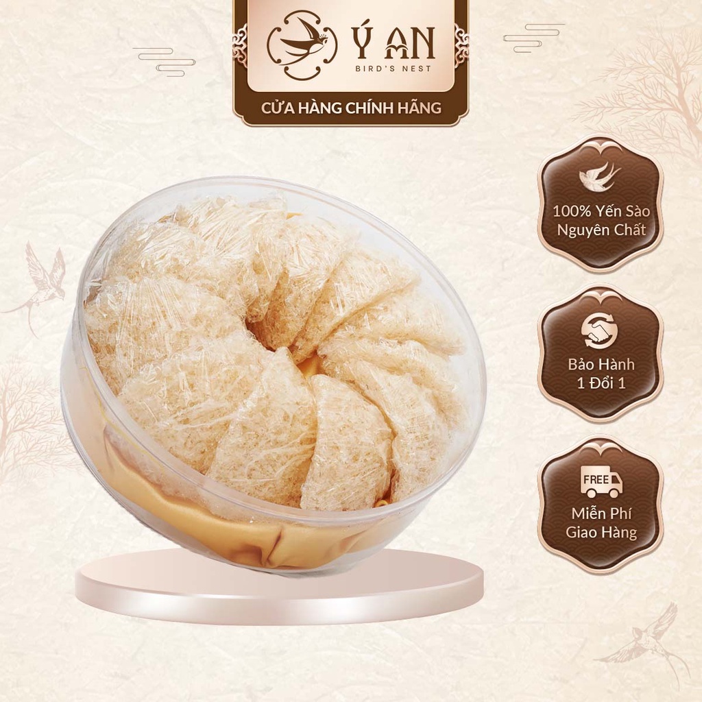 Tổ yến tinh chế sợi ngắn nguyên chất Ý An hộp 50gr/100gr