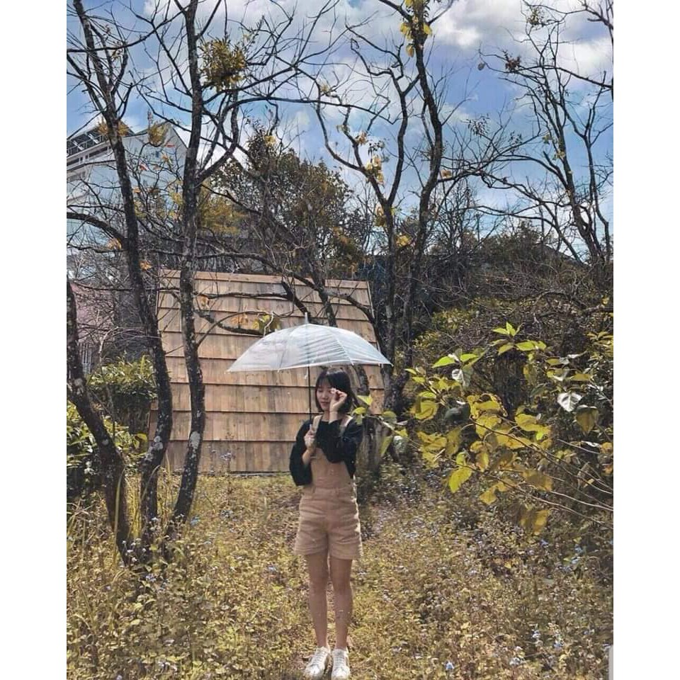 YẾM KAKI NGẮN | BigBuy360 - bigbuy360.vn