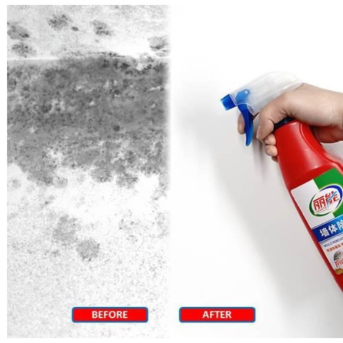 Chai tẩy nấm móc, vết ố tường nhà Mould Remover 500ml - Gia dụng SG