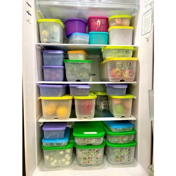 Venmart  hộp Tupperware