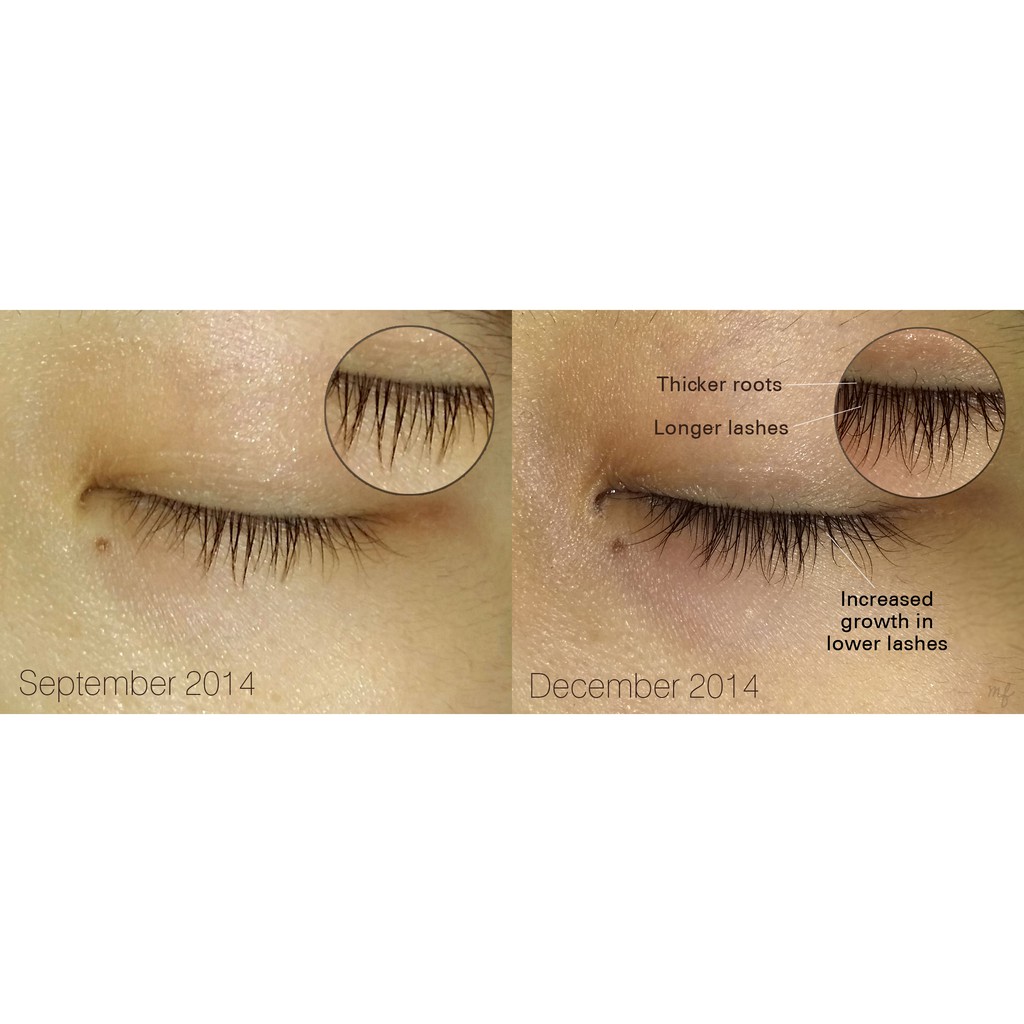 Tinh chất dưỡng mi DHC Eyelash tonic 6.5ml | BigBuy360 - bigbuy360.vn