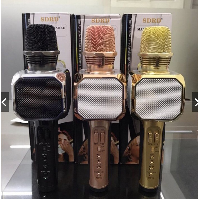 Micro Karaoke Kiêm Loa Bluetooth Sd10 Chính Hãng