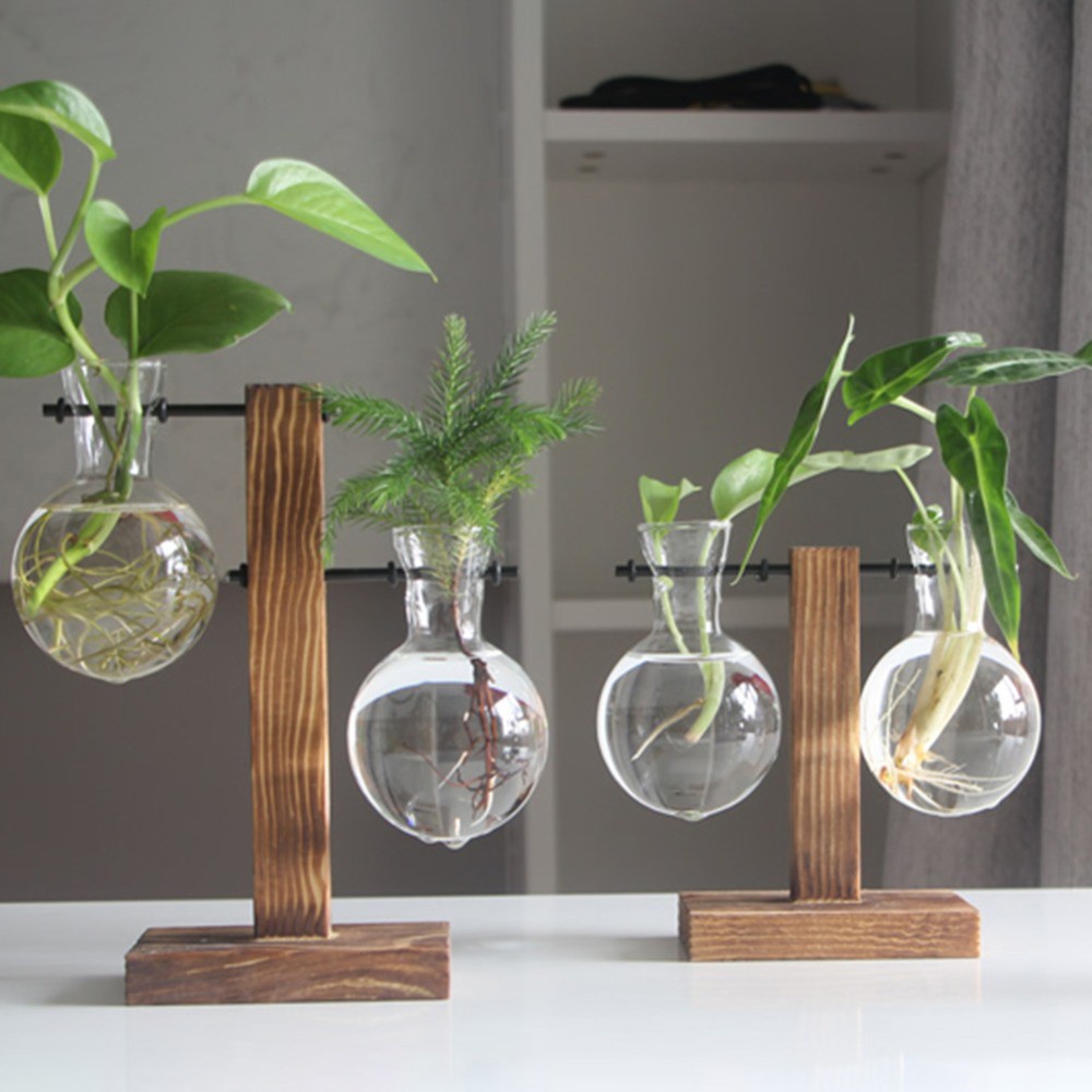 Chậu Kính Trồng Cây Thủy Canh Kèm Khung Gỗ Phong Cách Cổ Điển Trang Trí Nhà Cửa