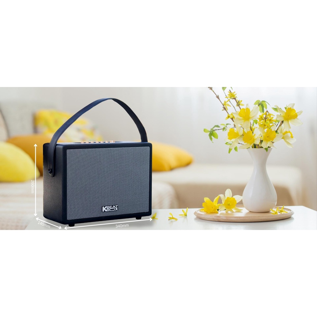Loa Karaoke Bluetooth di dộng ACNOS CS270 - New, Bảo hành 12 tháng.