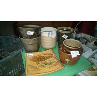 Combo chậu khách sỉ Chị Trang