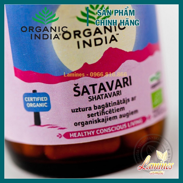 Viên Uống Cân Bằng Nội Tiết Organic India Shatavari 60v