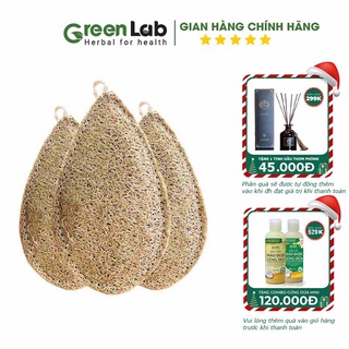 Miếng rửa chén 🍃FREESHIP🍃 Miếng rửa chén bát xơ mướp bảo vệ môi trường an toan cho con người