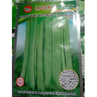 Hạt giống đậu cove lùn(50g)