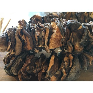 Nấm Hương Rừng Đặc Sản Tuyên Quang- 100gr