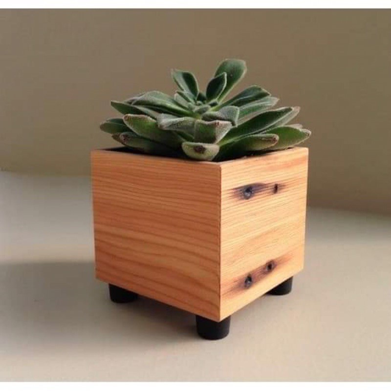 [chậu gỗ ] vuông trồng cây để bàn -HUY_Decor
