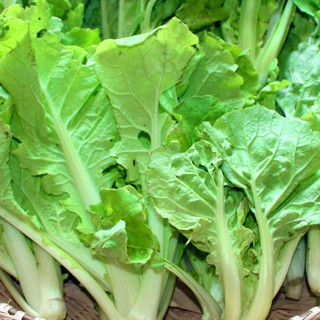 10gram HẠT GIỐNG CẢI BẸ DÚN