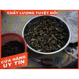 Hạt Sachi Đăk lăk 500g