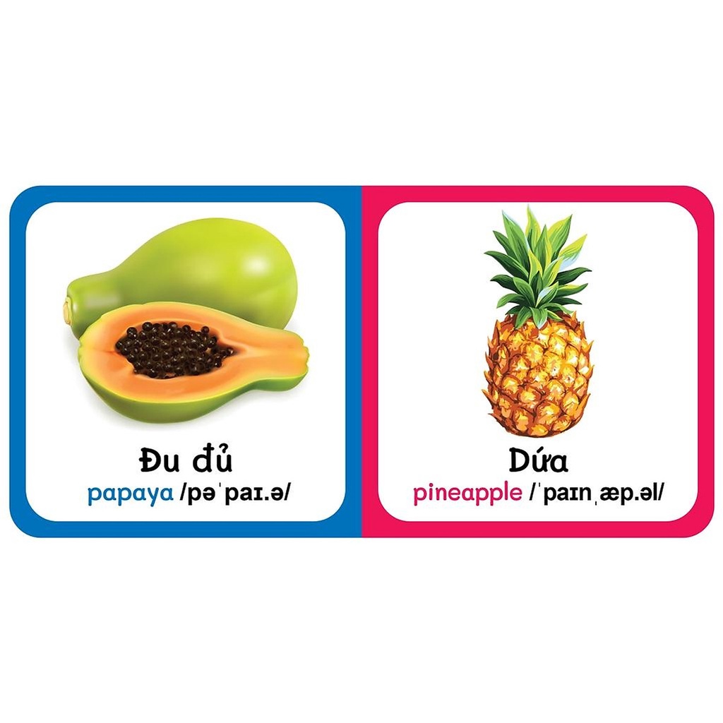 Sách - Baby'S First Picture Dictionary - Từ Điển Bằng Hình Đầu Tiên Của Bé - Trái Cây - Fruits