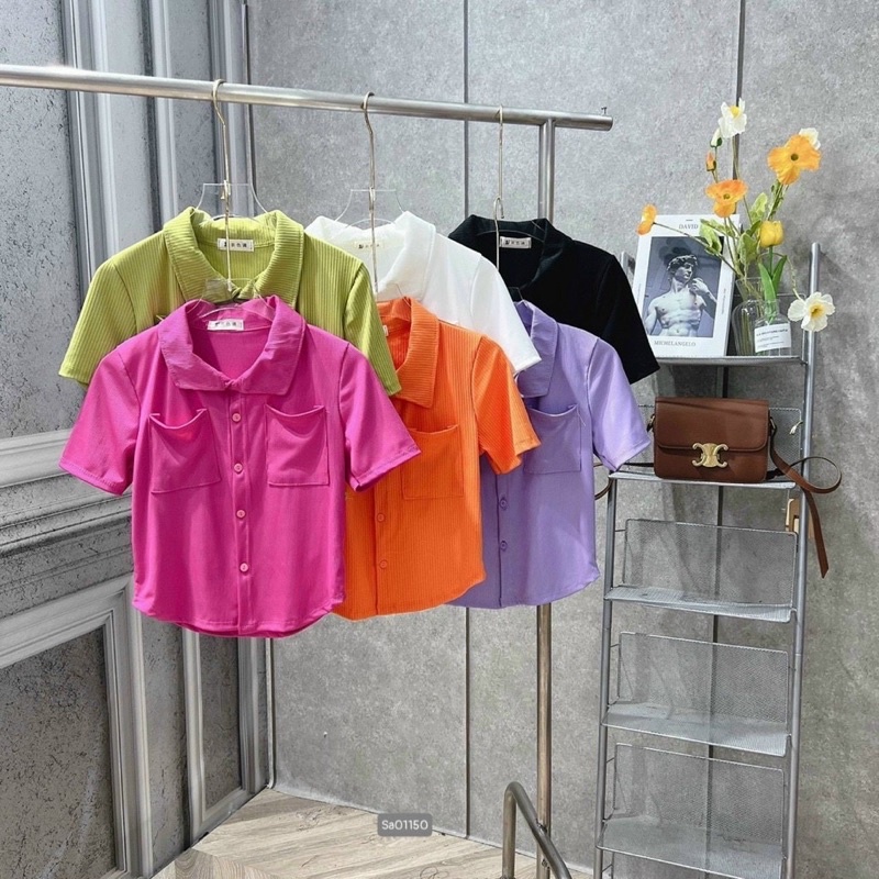 Áo thun cổ bẻ body thun gân len tăm  xinh xỉu , nhiều màu VKV alohashop91