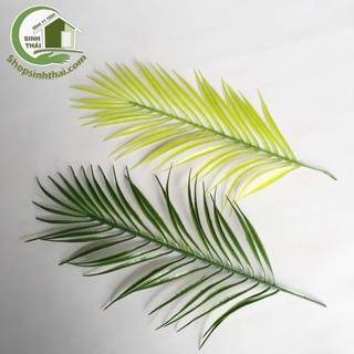 Lá dừa nhỏ - lá cây trang trí - phụ kiện lá cây chụp hình ảnh sản phẩm