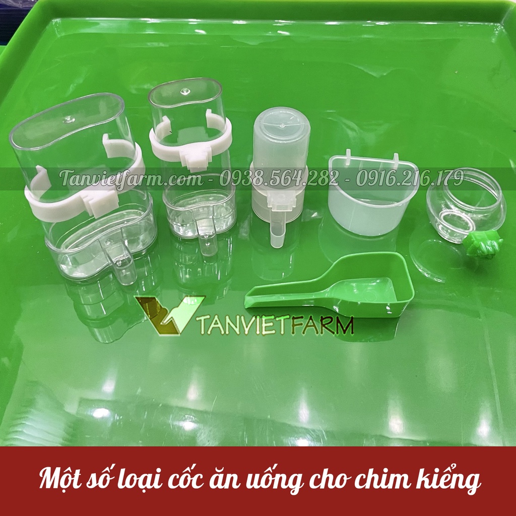 [SIZE LỚN] SET 10 Cóng đựng thức ăn, nước uống cho chim [tai Sư tử xanh]