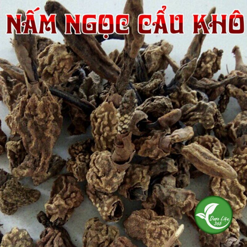 NẤM NGỌC CẨU - NGỌC CẨU KHÔ - Bán Lẻ Giá Sỉ - Cam Kết 1 Đổi 1