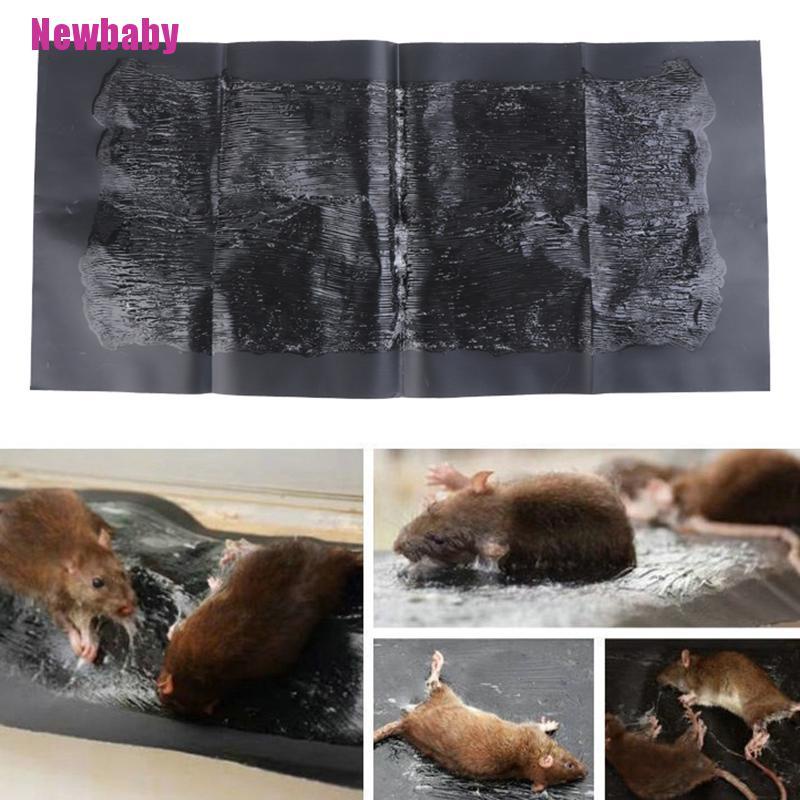 Keo Dính Chuột 60CM Mạnh Mẽ