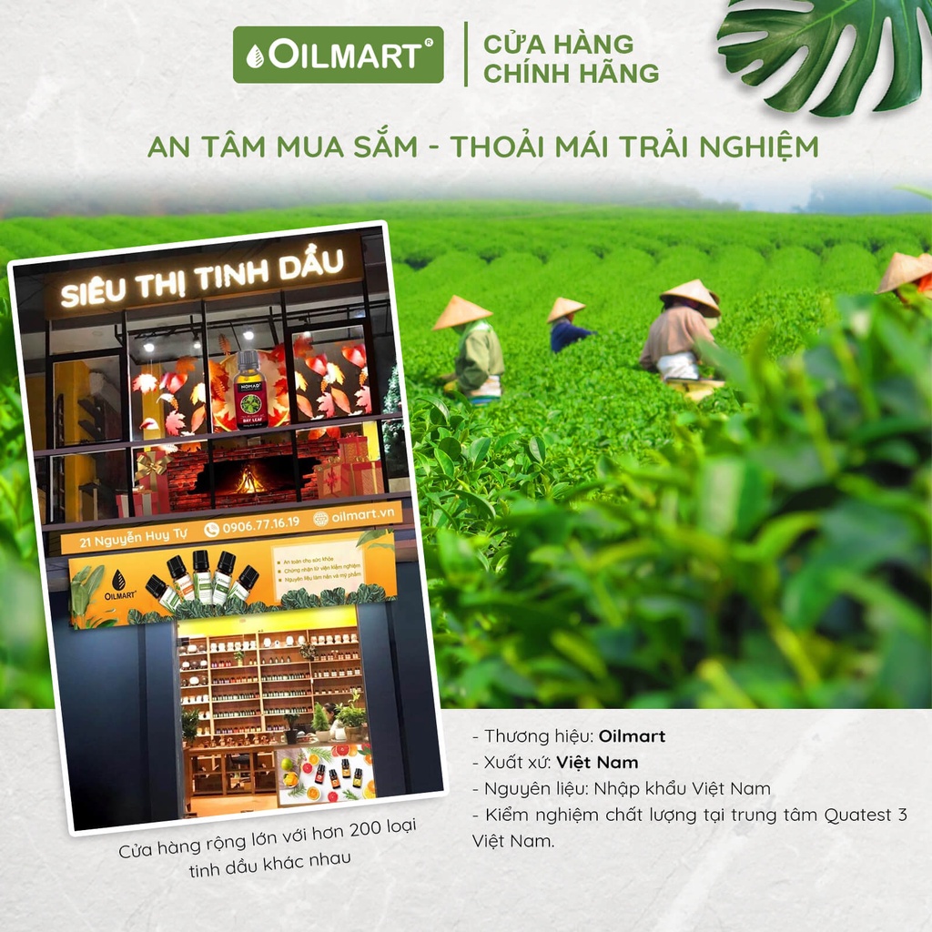 Tinh Dầu Xông Thơm Phòng, Khử Mùi, Đuổi Muỗi Oilmart - Thông, Sả Chanh, Quế, Bạch Đàn Chanh, Cam, Oải Hương 15ml