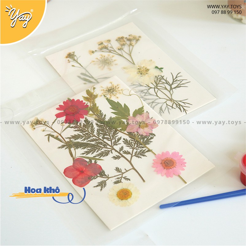 [HDSD T.VIỆT] Bộ Làm Giấy Thủ Công Magic Papermaking - Mideer