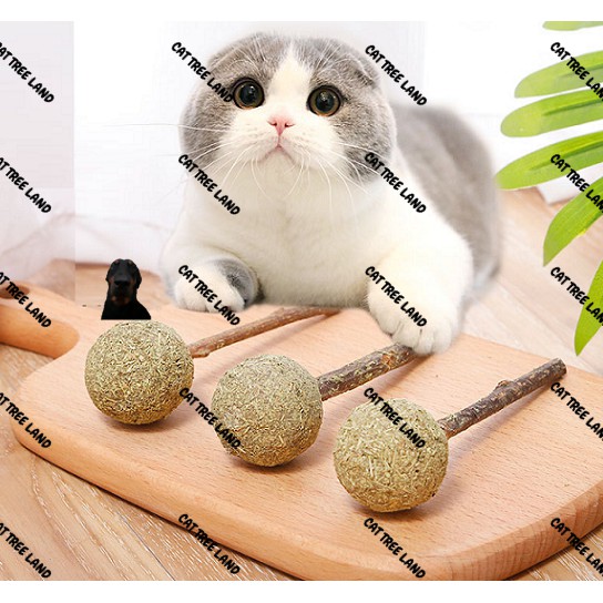 BÓNG CATNIP, CÂY GỖ BẠC HÀ CHO MÈO GẶM SẠCH RĂNG (SNACK THƯỞNG, THỨC ĂN MÈO TIÊU BÚI LÔNG HAIRBALL) - ĐỒ CHƠI CHÓ MÈO